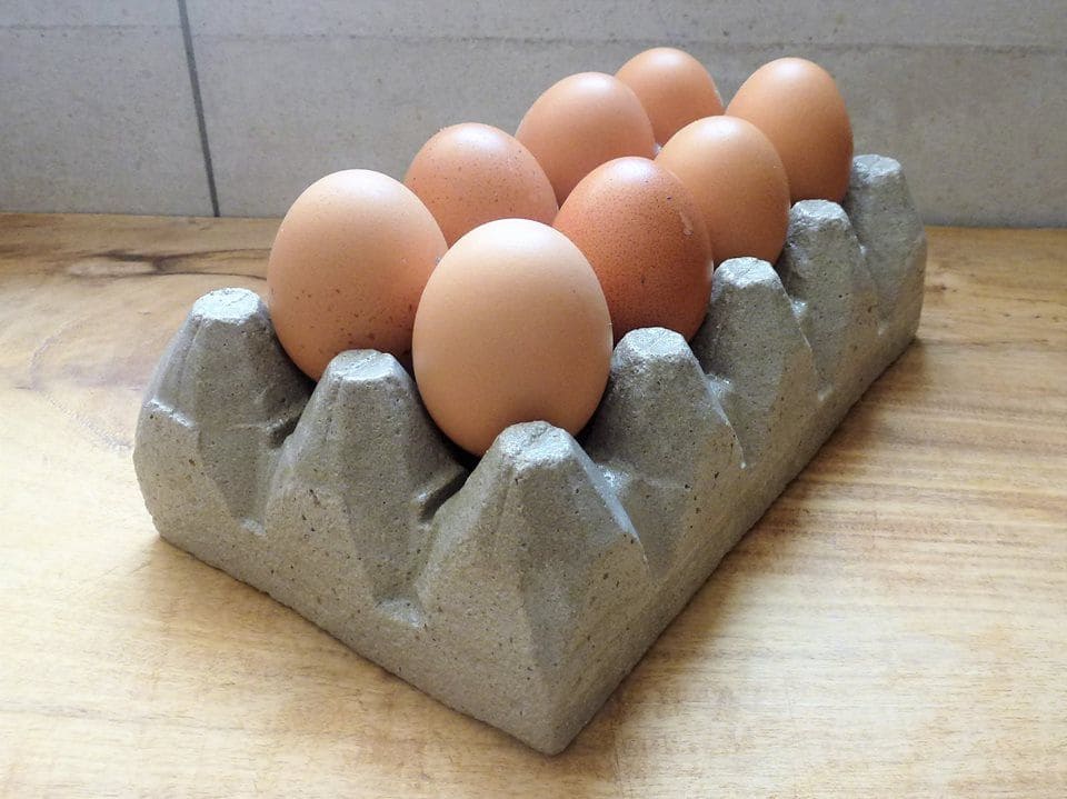 huevera con huevos