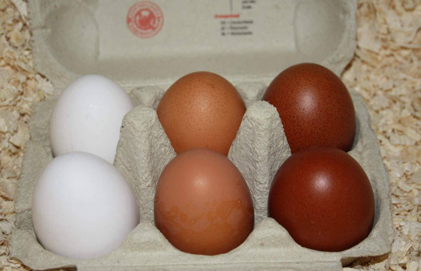 Huevos de gallina marrones