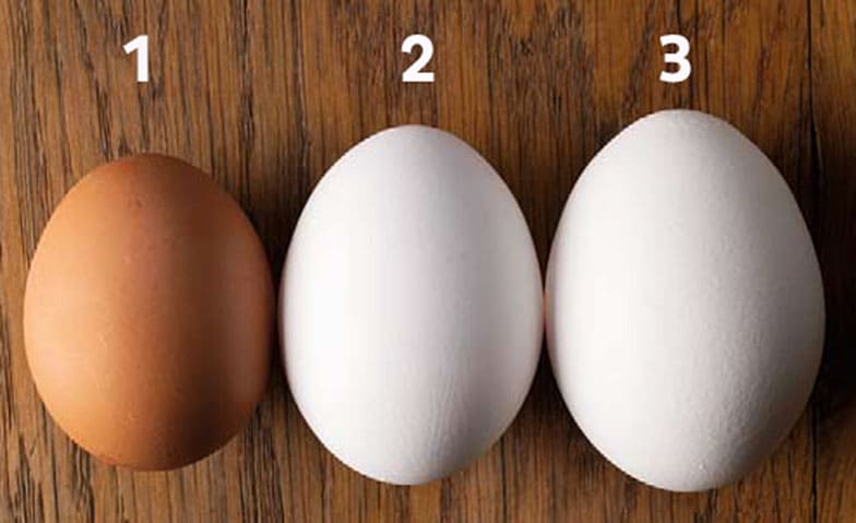huevos de gallina pequeño y grande