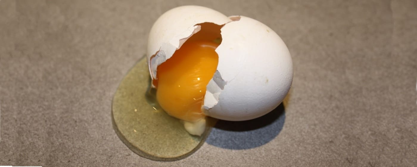 Huevos de gallina roto